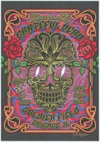 Good-Looking Derek Hatfield Soldier Field Fare Thee Well Poster