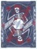 Magnificent Dead & Company New Jersey Poster
