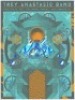 2017 Trey Anastasio Band Variant Foil Poster