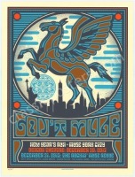 Beautiful 2017 Gov't Mule Poster