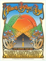 The Allman Brothers 2013 Tour Poster