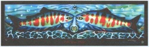 Leftover Salmon Art Print