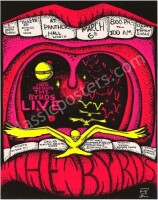 Stunning Byrds Panther Hall Poster