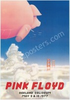 Elusive AOR 4.47 Pink Floyd Oakland Poster