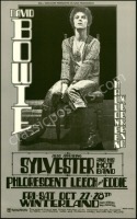 Attractive David Bowie Winterland Poster
