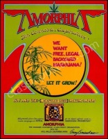 Popular Signed Amorphia Cannabis Co-Op Poster