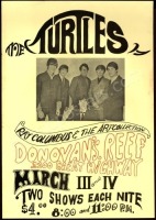 Scarce Donovan’s Reef Turtles Poster