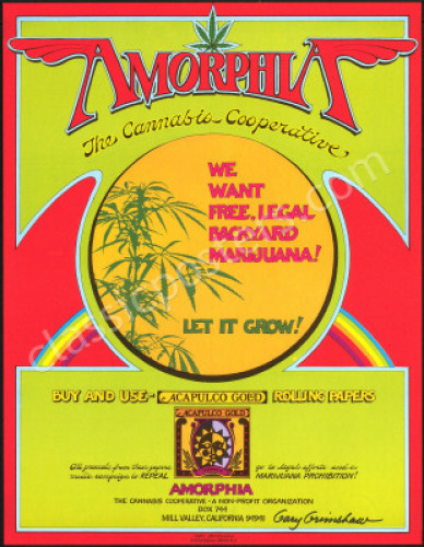 Rare Signed Amorphia Poster