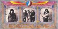 Beautiful Grateful Dead Promotional Poster