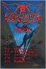 Signed BGP-36 Aerosmith Poster