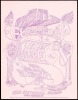 1967 Moby Grape Reno Handbill