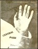 Rare 1979 Patti Smith Central Park Handbill