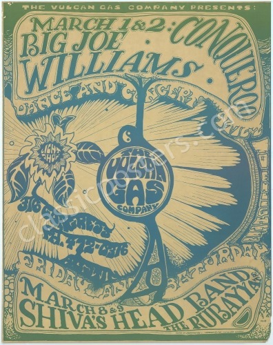 Popular VG-16 Plant Forms Poster