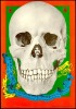 Superb Original FD-82 Grateful Dead Poster