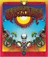 Popular AOR 2.24 Aoxomoxoa Grateful Dead Poster