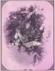 Huge Jefferson Airplane Head Shop Poster - 2