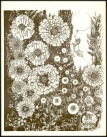 1971 Of Our Own Houston Handbill