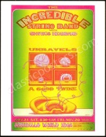 Colorful Incredible String Band Armadillo Handbill
