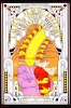 A Pair of Odd-Looking Bill Graham Posters - 2