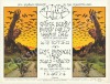 Signed BG-250 Double-Sized Poster from The Fillmore