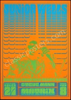 Elusive First Print NR-1 Junior Wells Poster