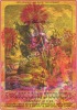 Signed Rolling Stones Hawaii Overprint Poster