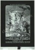 Unique AOR 4.147 Rolling Stones Printing Film