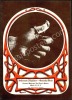 Beautiful AOR 2.172 Sore Thumb Handbill