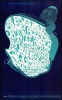 Lovely BG-49 Blues Project Poster