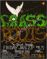 Rare Grass Roots Panther Hall Poster