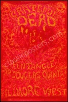 Stunning Original BG-162 Grateful Dead Poster