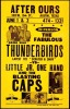 Fabulous Thunderbirds Austin Poster