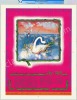 Gorgeous AOR 3.105 Sky River Festival Poster