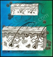 Odd-Looking Vulcan Gas Company Handbill
