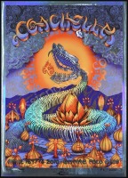 Wonderful 2010 Coachella Foil Edition Poster