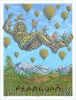2016 Pearl Jam Telluride Poster