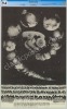 Certified FD-131 Pink Floyd Poster