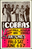 Colorful Antones Cobras Poster