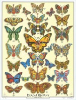 2019 Dead & Company Summer Tour Poster