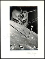 Wild, Signed David Singer Concept Art