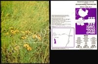 Scarce Woodstock Program and Ticket Order Form