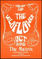AOR 2.125 Wildflower Matrix Poster and Handbill