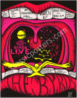 Scarce The Byrds Panther Hall Poster