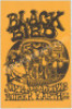 Rare 1972 Stevie Ray Vaughan Blackbird Poster