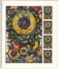 Beautiful 1995 Grateful Dead Fall Tour Proof Sheet