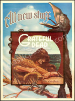 Scarce Wake of the Flood Grateful Dead Poster