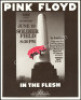 1977 Pink Floyd Soldier Field Poster