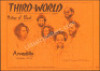 Interesting Third World Armadillo Poster