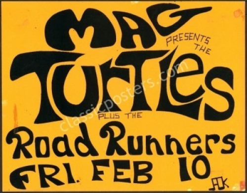 Rocky’s Mag Turtles Poster