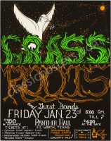 Beautiful Grass Roots Panther Hall Poster